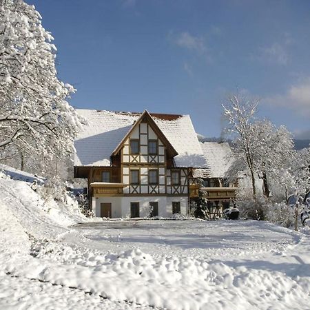 Baeuerlehof Hotel Seebach Kültér fotó