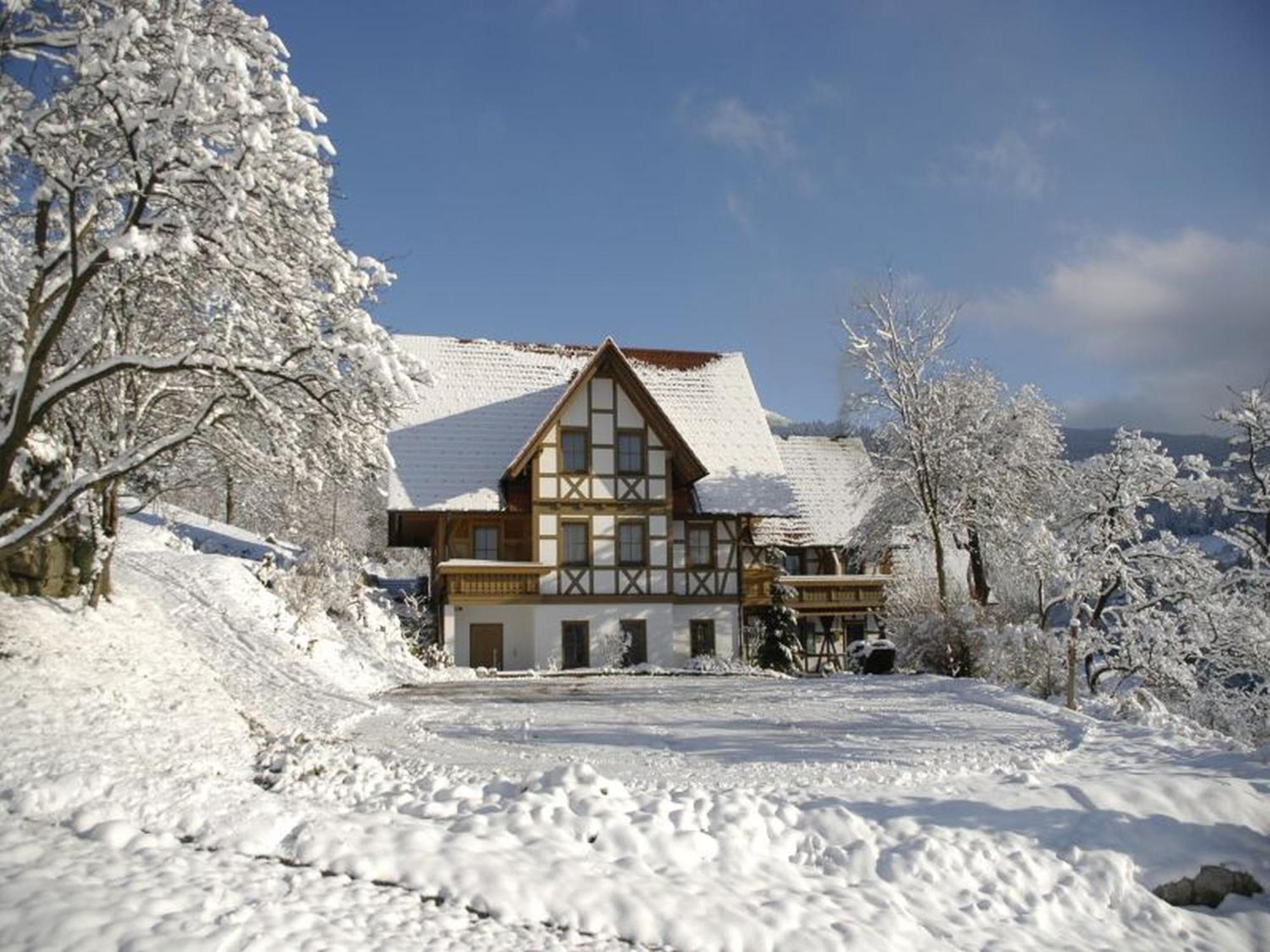Baeuerlehof Hotel Seebach Kültér fotó