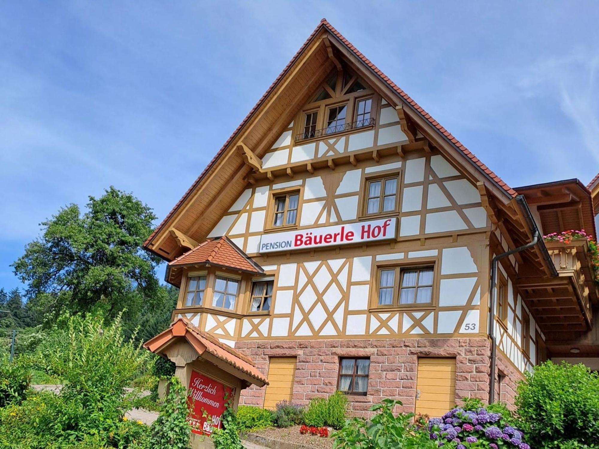 Baeuerlehof Hotel Seebach Kültér fotó