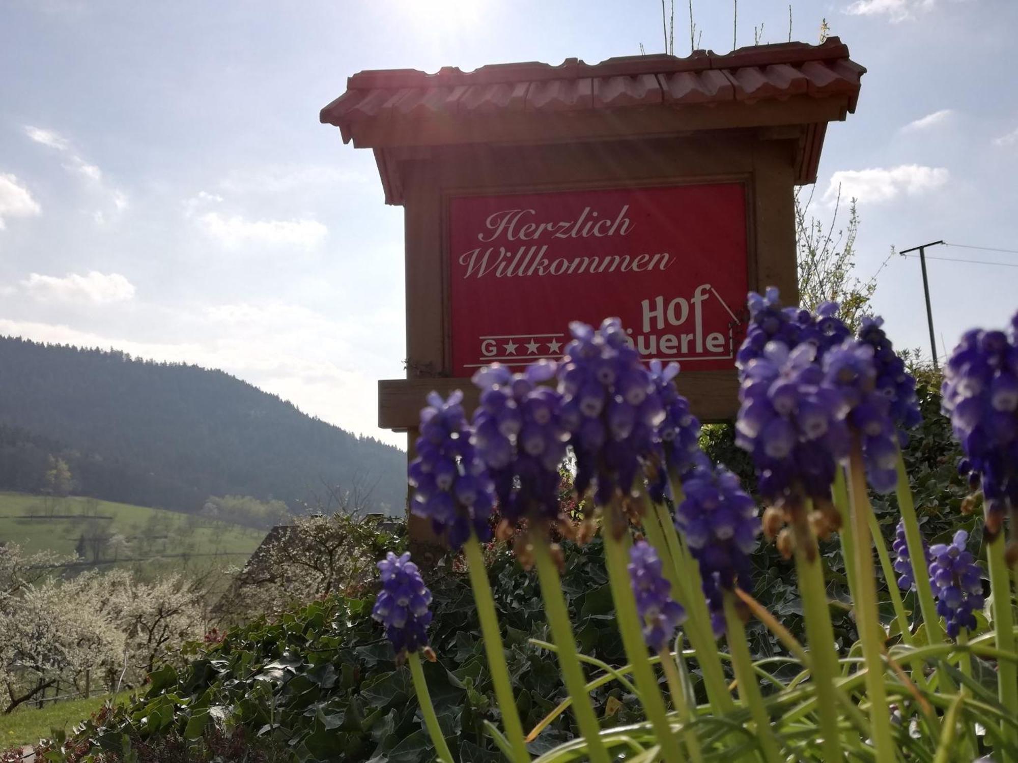 Baeuerlehof Hotel Seebach Kültér fotó